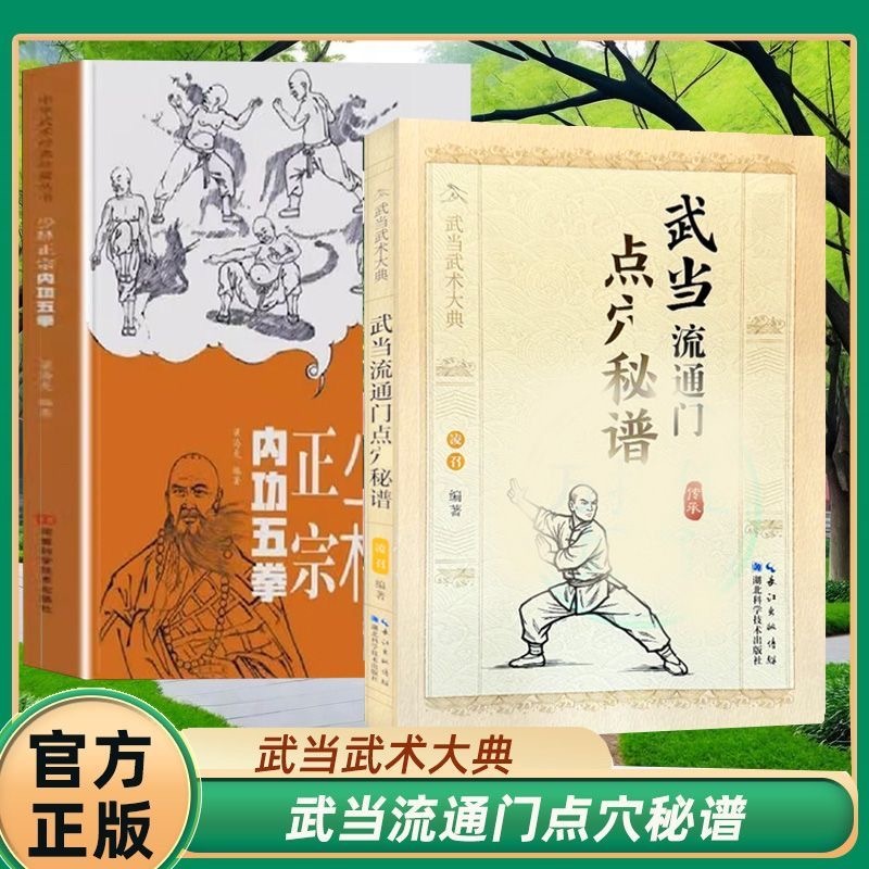 正版有貨&武當流通門點穴秘譜少林正宗內功五拳點穴解穴少林武當內功心