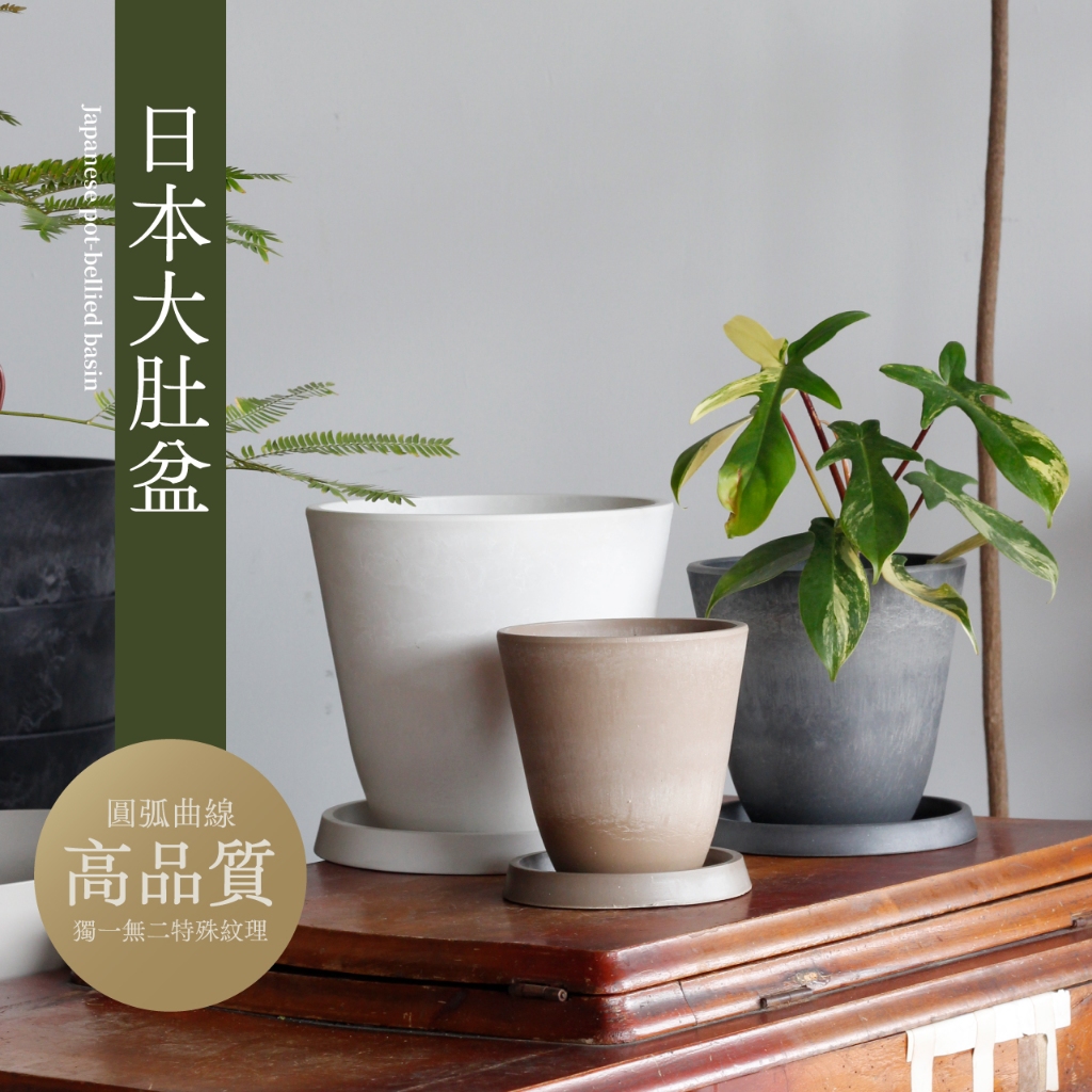 0123 studio | 日本熱銷 大肚盆 弧形收尾 空運現貨 花盆 盆器 塑膠盆 園藝 觀葉植物 多肉植物 龜背芋 | 蝦皮購物