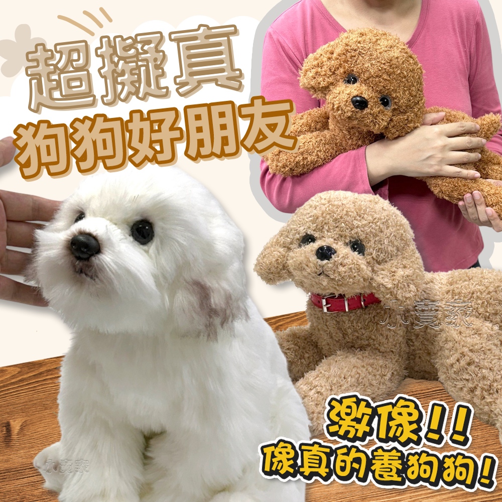 小賣家-超擬真狗狗好朋友 仿真狗娃娃 泰迪娃娃 狗布偶 陪伴好朋友 狗娃娃 陪伴娃娃 假狗，仿真狗 狗玩具 | 蝦皮購物