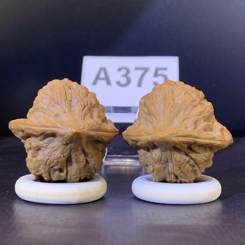 文玩核桃小眾野生金公子34/33,34/37有修👍👍#375 | 蝦皮購物