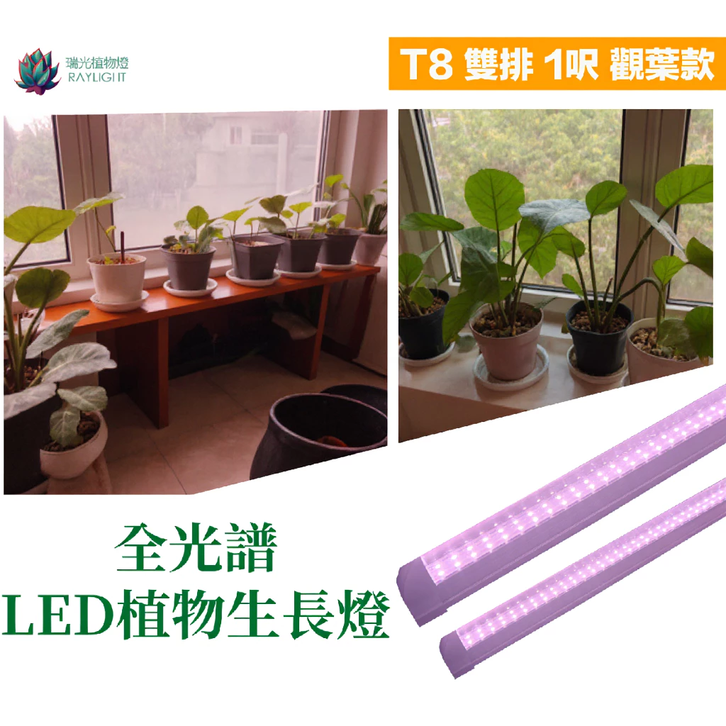 瑞光植物燈全光譜LED植物生長燈T8燈管，多肉與觀葉植物補光用