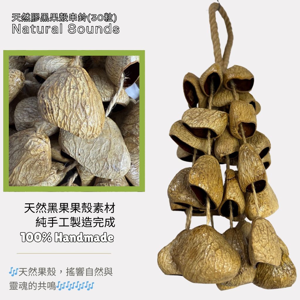 自然傳統樂器屋】果殼串鈴天然果殼串鈴黑果夾竹桃鴨腱藤果殼民族樂器