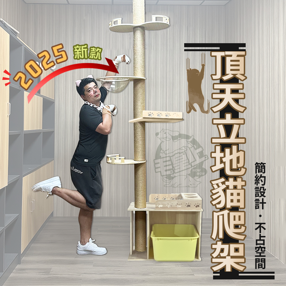 貓咪頂天立地