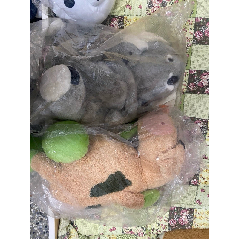 出清存放很久娃娃可就收再購買（約60公分） | 蝦皮購物