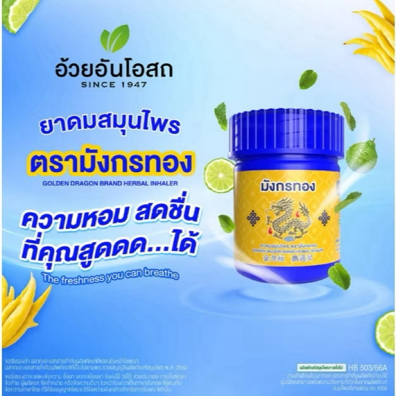 【現貨】泰國代購 Lisa金龍標 薄荷鼻通 | 蝦皮購物