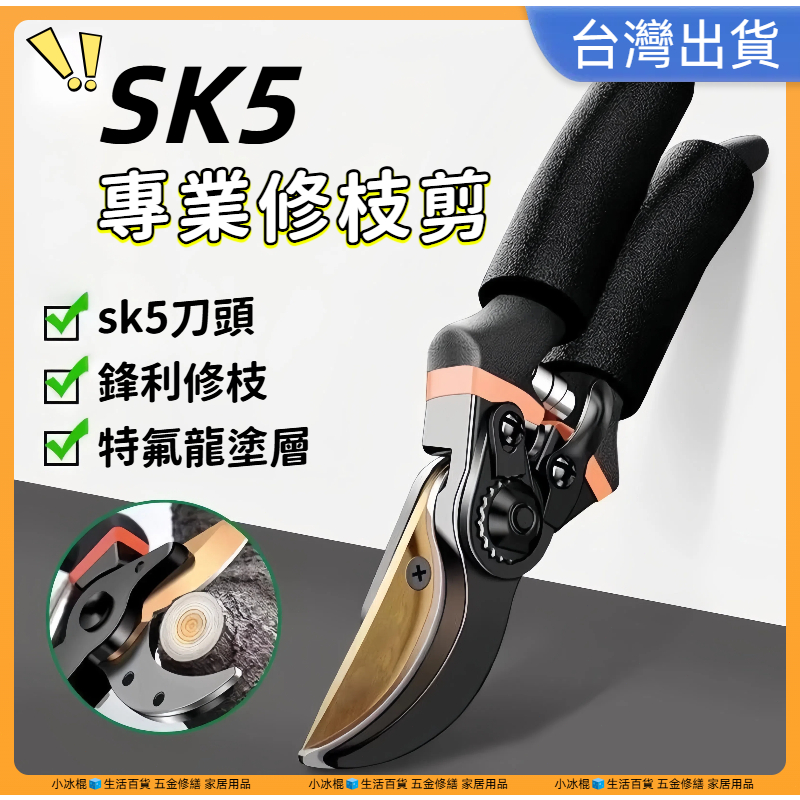 超低價現貨🔥硬質SK5 樹枝剪 園藝剪 花剪 園藝剪刀 修枝剪 高枝剪 粗枝剪刀 修花剪刀 果樹剪 園藝工具 花藝剪刀 | 蝦皮購物
