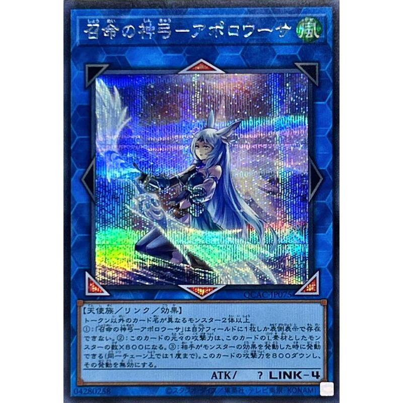 【楓卡舖】遊戲王 QCAC-JP075 召命的神弓阿波羅薩 (半鑽異圖)搜:PAC1-JP028 | 蝦皮購物