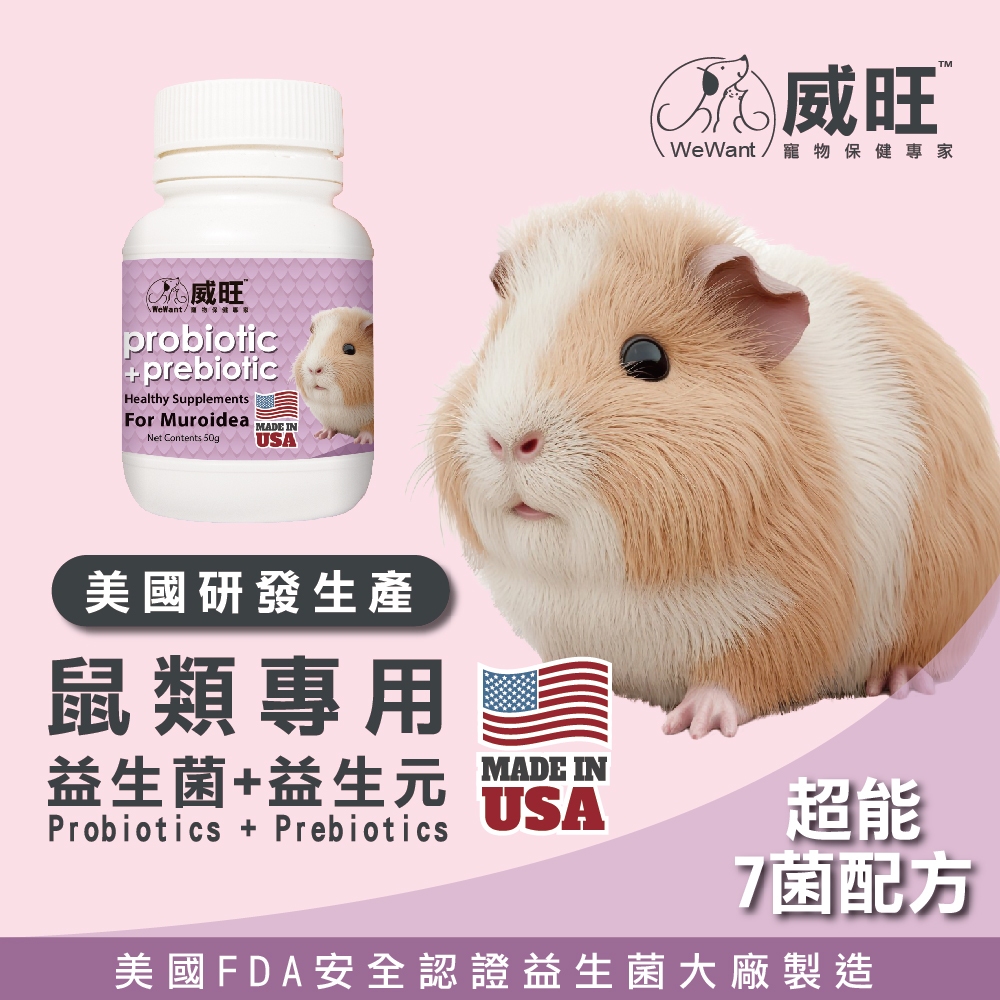 【威旺WeWant】鼠類用益生菌+益生元-超能7菌配方 倉鼠保健 天竺鼠保健 絨鼠保健 倉鼠 天竺鼠 龍貓 | 蝦皮購物
