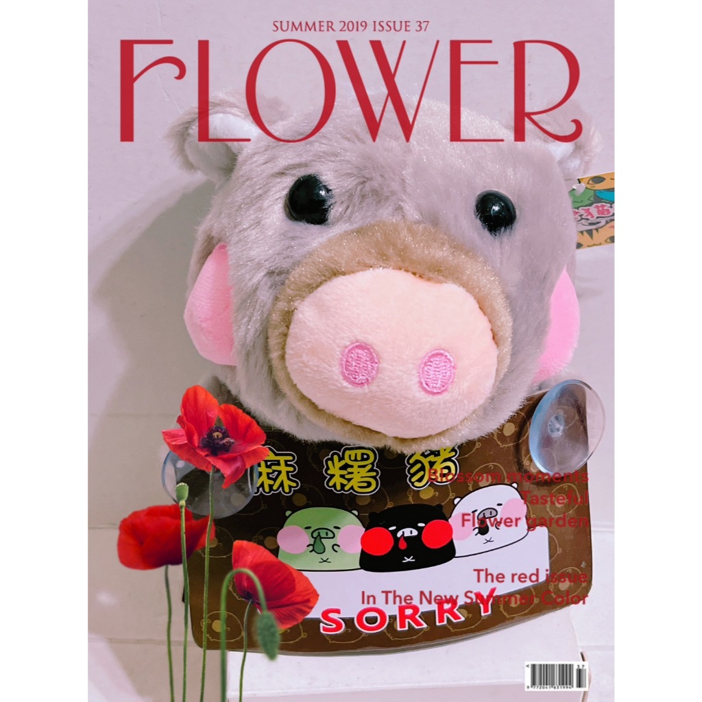 筑筑大百貨madge0521 I 暫停車牌 PIG 豬 麻糬豬 絨毛娃娃留言板 吸盤留言板 SORRY 生日禮物交換禮物 | 蝦皮購物