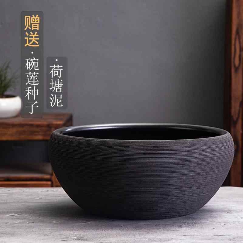 荷花水缸｜優惠推薦- 蝦皮購物- 2025年8月