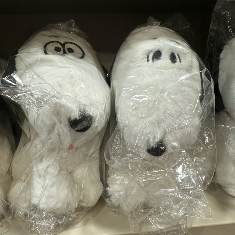 SNOOPY ．華山．史努比看門狗玩偶「45公分、18公分」共三款『驚呆、看前方、生氣氣』 | 蝦皮購物