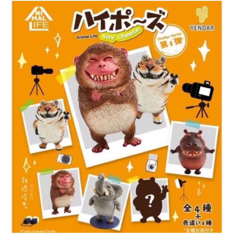 ANIMAL LIFE Wish!! 1BOX（8個入）【2019年1月発売】|ユニオン