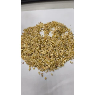 [現貨/免運/發票] 黃河砂（1-4mm) 500克/包