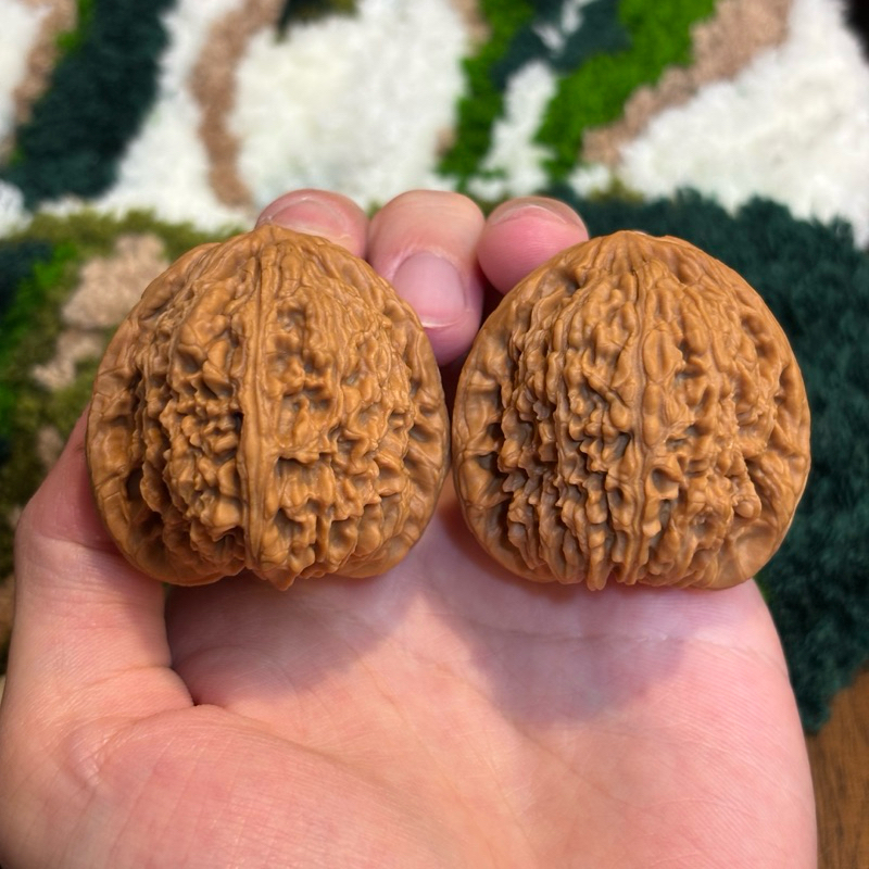 南疆- 優惠推薦- 2026年6月| 蝦皮購物台灣