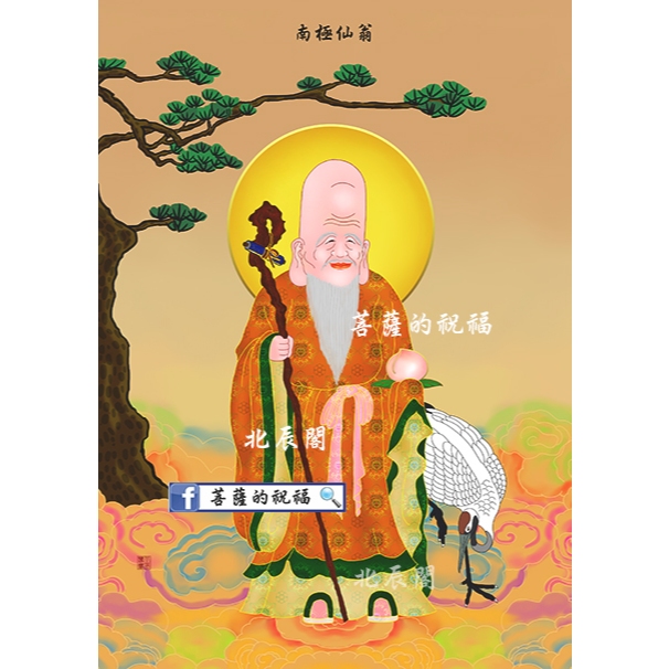 南極仙翁(小29.7X21cm)壽翁壽星壽老人七福神日本福神南極星南極老人福