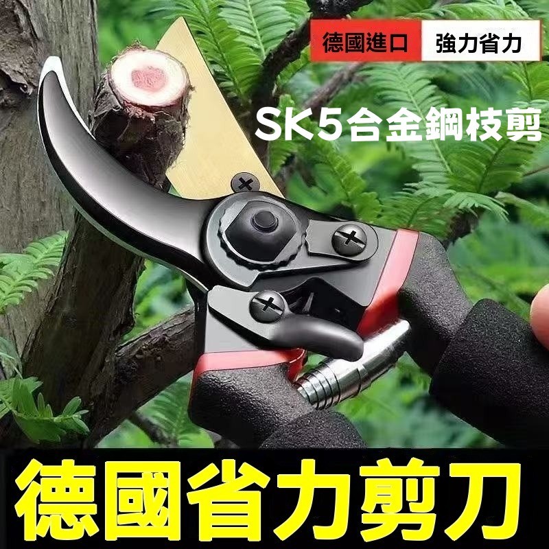 粗枝剪 SK5園藝剪 修枝剪 果剪 園藝剪 樹枝剪 強力園藝修枝剪 花枝剪 修樹枝剪刀 樹枝剪刀 剪枝剪 | 蝦皮購物
