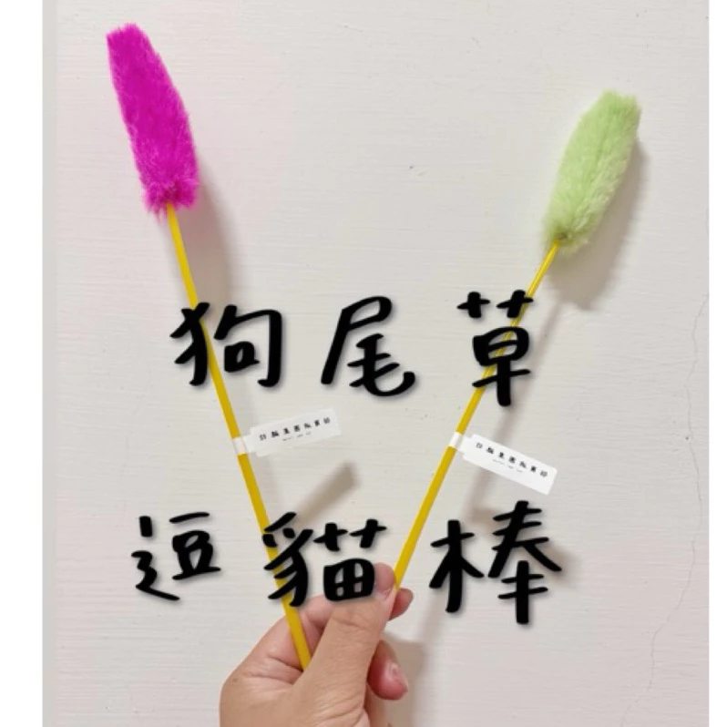 狗尾草造型絨毛逗貓棒，有綠色與粉色兩款