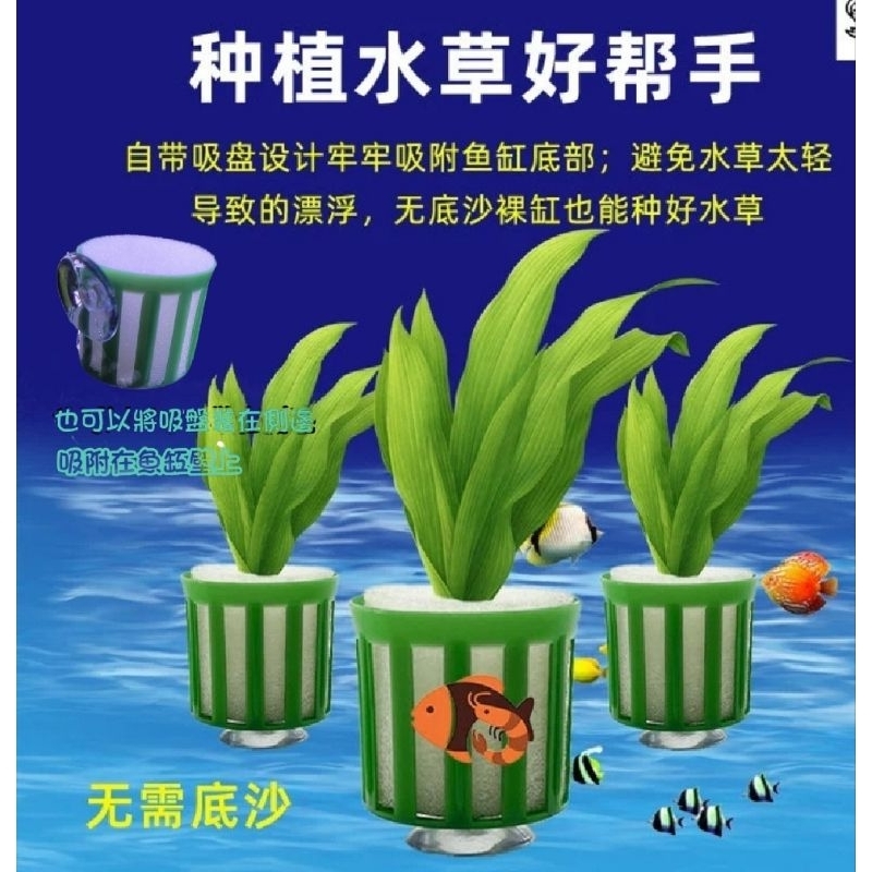幸福水族 盆草種植藍 水草固定環 吸盤定植籃 三件套 水草定植绵 大号定植籃 魚缸造景養草環 水耕植物藍 | 蝦皮購物