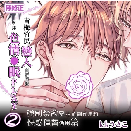 商業BL本　約200冊 BL 商業BL ボーイズラブ リーフレット 小冊子 漫画 コミック まとめ