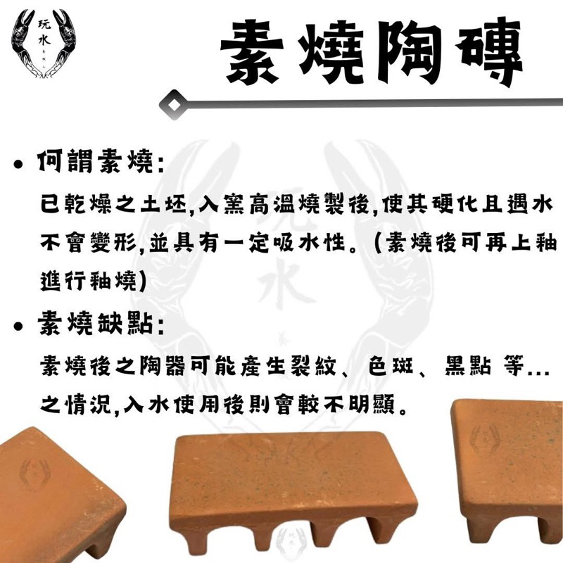 空心磚繁殖甕陶磚陶甕素燒造景裝飾異型繁殖磚螯蝦水草鼠魚烏龜兩棲爬蟲