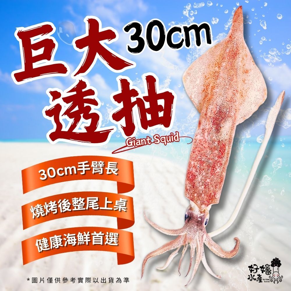 【好嬸水產】30CM巨大透抽｜100-500克｜30公分以上｜真空包船凍透抽中秋烤肉食材活凍魷魚花枝下酒菜活凍砲管烤魷魚 | 蝦皮購物