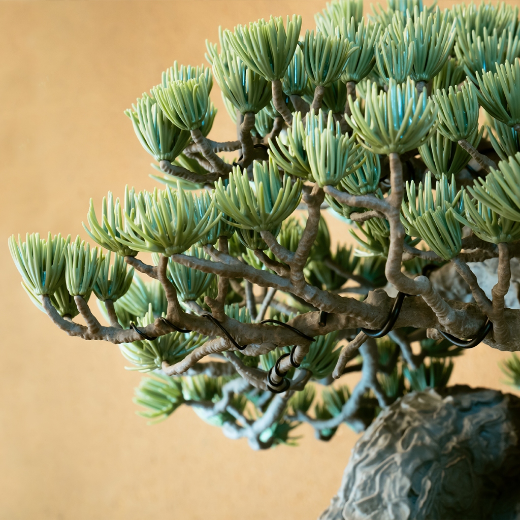 現貨】NEIGHBORHOOD SRL X BANDAI SPIRITS . BONSAI 吾妻五葉松盆景