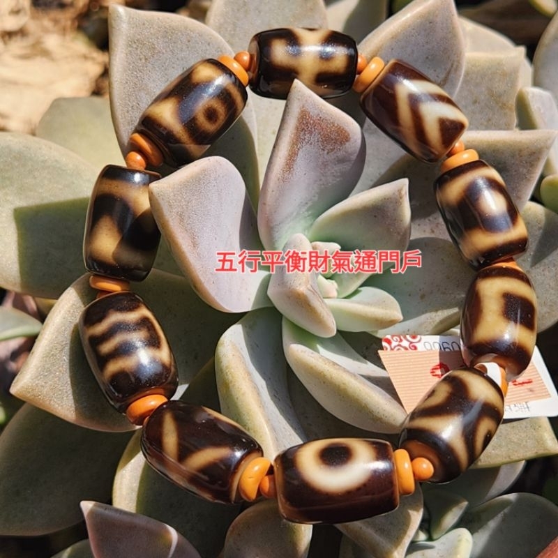 財氣通門戶Zi0501上肯牙黃天珠鎮10.7×15.6×10顆。火供天珠鎮20.7×9顆