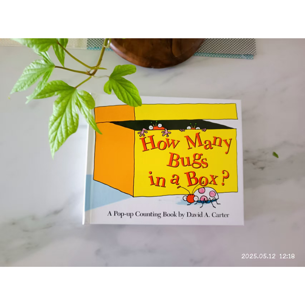 現貨英文立體書How Many Bugs in a Box? A Pop-up Counting Book數數書🍀缺書店 | 蝦皮購物