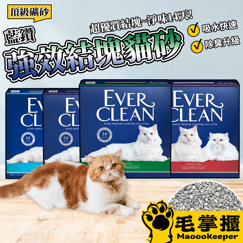 EverClean 藍鑽 強效凝結除臭貓砂 結塊貓砂 頂級礦砂 強效清香 活性碳貓砂 貓砂 毛掌櫃寵物 | 蝦皮購物