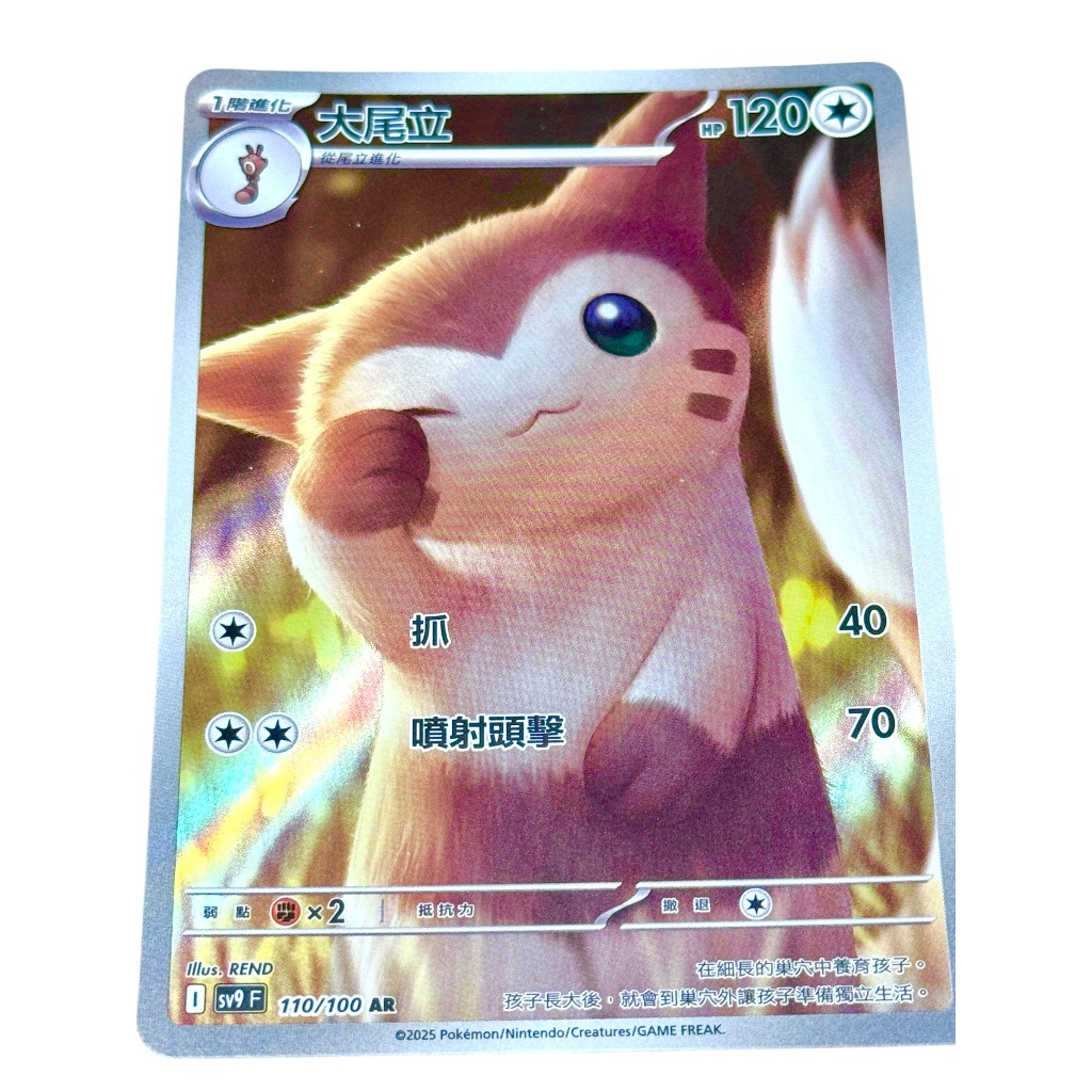 [羅傑幫你抽] 大尾立 大尾立AR AR 藝術美圖 AR卡 AR 寶可夢 PTCG 寶可夢卡片 卡片 卡牌 | 蝦皮購物