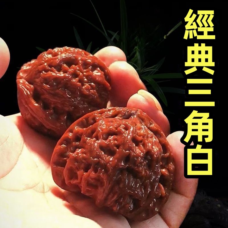 文玩核桃白獅子頭經典三角白核桃原色精配對高拋機刷包漿核桃盤玩手把件