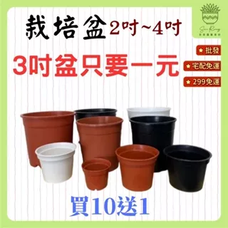【欣榮園藝全館299免運】3吋盆下殺1元(2吋買10送1) 圓盆 荷蘭盆 �白 黑 紅 3吋 4吋栽培盆 塑膠花盆 圓盆