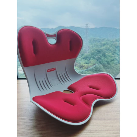 實用禮物 韓國 ROICHEN 正脊坐墊