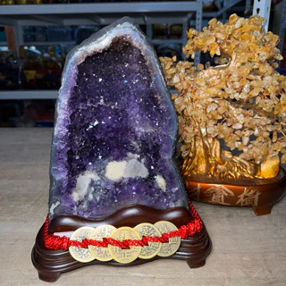 瑪瑙共生- 優惠推薦- 2025年10月| 蝦皮購物台灣