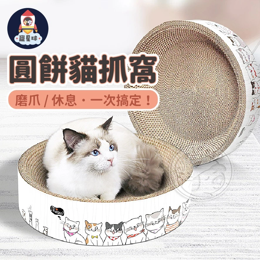 必買！6款超實用貓窩推薦，讓毛孩一躺就愛上！