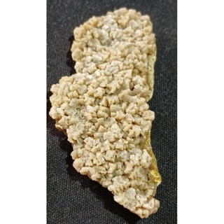 北投石｜優惠推薦- 蝦皮購物- 2025年8月