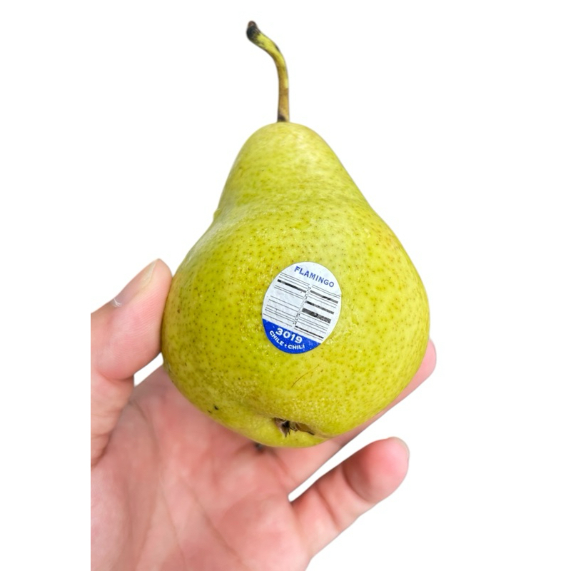 9/19智利🇨🇱啤梨香梨🍐 智利香梨（Chilean Pear）是來自南美洲智利安地斯山脈山腳的黃金果園 | 蝦皮購物