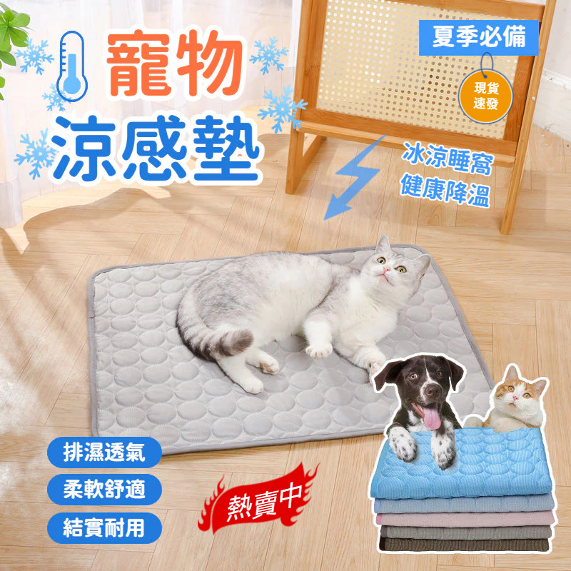 【萌寵好物】寵物涼墊 寵物睡墊 寵物冰墊 寵物睡窩 狗狗冰墊 寵物冰絲墊 寵物涼蓆 貓窩 狗窩 貓睡墊 狗睡墊 | 蝦皮購物