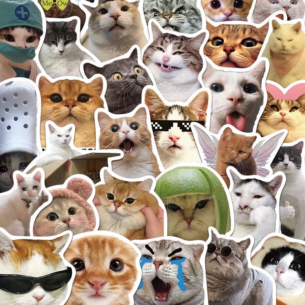 【Paw Partner】現貨 《50張組合》PVC防水貼紙 搞怪貓咪表情貼紙 CAT 迷因 梗圖 行李箱貼紙 | 蝦皮購物