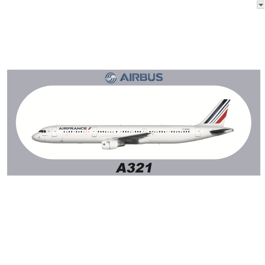 RBF現貨 Air France A321 sticker 20x8.8cm 貼紙 S-R-A321-GTAM | 蝦皮購物