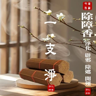 台湾　除障香　2箱 台湾 除障香 2箱 除障香 X2箱 台湾製（2H淨業除障盤香）