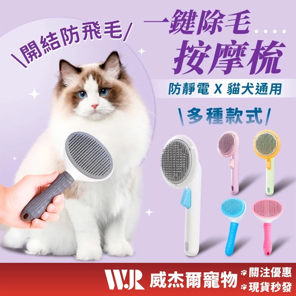 寵物除毛針梳，附推板可一鍵取下梳下來的毛