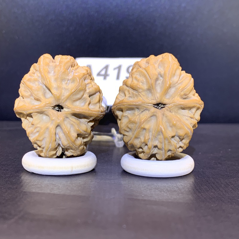文玩堂：平谷火苗胡桃（高级品） 文玩核桃平谷火苗34/41/40無修#419 | 蝦皮購物
