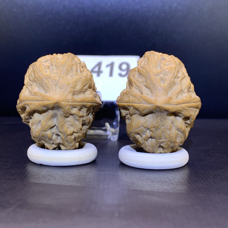 文玩核桃平谷火苗34/41/40無修#419 | 蝦皮購物