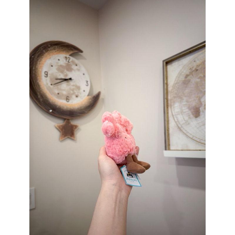 全新Jellycat 正品｜趣味粉紅珊瑚🪸🩷 （2025 新品Amuseables Coral