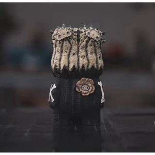 羅本艾特- 優惠推薦- 2025年12月| 蝦皮購物台灣