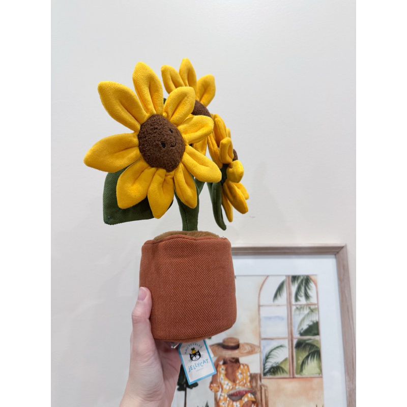 全新Jellycat 正品｜向日葵太陽花🌻 盆栽🪴2025新品Amuseables