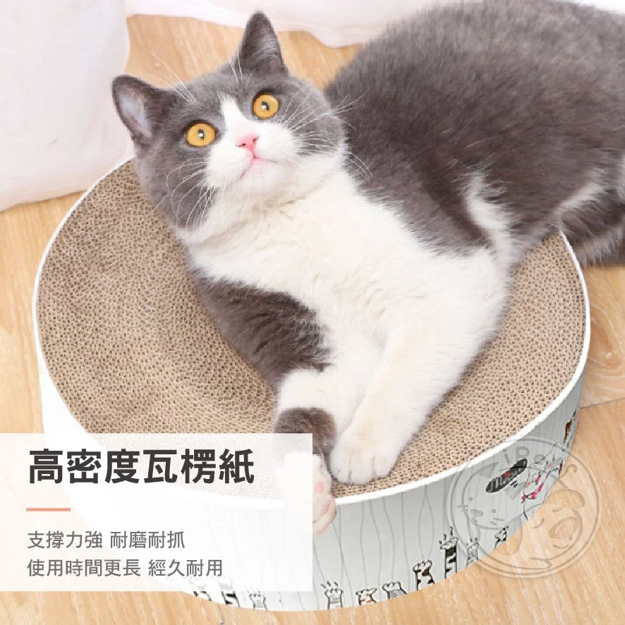 6款超實用「貓抓板推薦」：拯救你的家具，讓貓咪愛不釋爪！