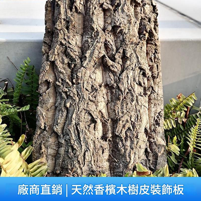 當天出貨 初生軟樹皮 發票現貨 鹿角蕨上板 園藝 鹿角蕨板 初生軟木 植物上板 木板 樹皮 鹿角蕨上板材料 上板材料 | 蝦皮購物