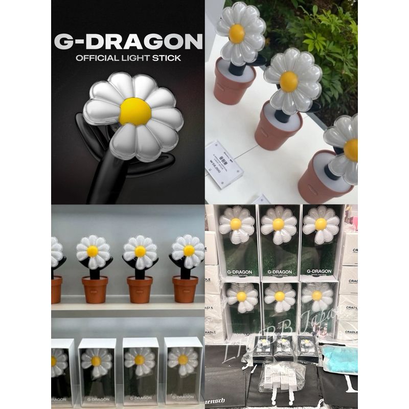 全新現貨 韓國官方正品 權志龍 G-Dragon GD 手燈 盆栽底座 fanplusone 雛菊 演唱會 周邊配件 | 蝦皮購物